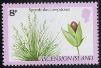 [Ferns and Grasses, type GN]