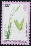 [Ferns and Grasses, type GO]