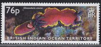 [Sea Slugs, type JY]
