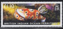 [Sea Slugs, type JZ]