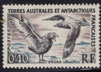 [Birds and Coat of Arms, type I]