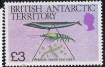 [Algae and Marine Life, نوع DI]