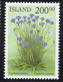 [Summer Flowers, type ACN]