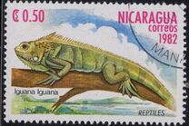 [Reptiles, tip BFL]