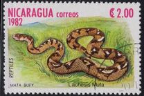 [Reptiles, tip BFM]