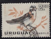[Birds, type PH]