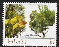 [Flowering Trees, වර්ගය AWD]