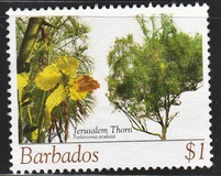 [Flowering Trees, වර්ගය AWD]