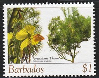 [Flowering Trees, වර්ගය AWD]