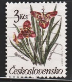 [Flowers, tip CQP]