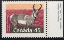 [Canadian Mammals, type AOI]