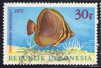 [Fish, type ABE]