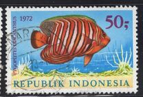 [Fish, type ABF]