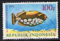 [Fish, type ABG]