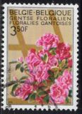 [flowers - Botanical Garden in Gent, Tipi ALM]