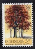 [Trees - Nature Protection Year, type ALN]