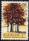 [Trees - Nature Protection Year, type ALN]