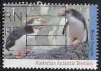 [Antarctic Wildlife, type CQ]