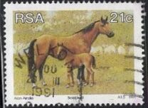 [Animal Breeding in South Africa, տեսակ AAP]