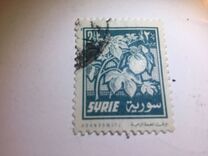 [Aleppo Cotton Festival, type KX]