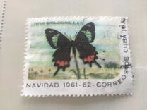 [Christmas, type YT]