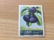 [Fruits, type JF]
