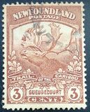 [Newfoundland Troops in the World War I, тып BZ1]
