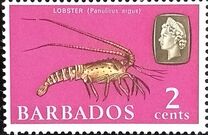 [Marine Life, tegund DQ]