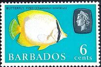 [Marine Life, tegund DU]