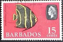 [Marine Life, tegund DX]