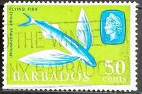 [Marine Life, tegund EA]
