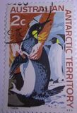 [Research in Antarctica, Tipi I]