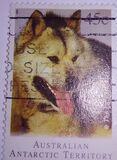 [Departure of Huskies from Antarctica, סוג CT]