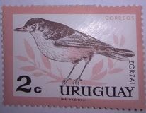 [Birds, type PE]