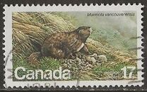[Endangered Wildlife, type AAD]