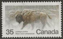 [Endangered Wildlife, type AAE]