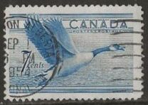 [Birds - Canada Goose, típus GD]
