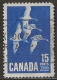 [Canada Geese, type JI]
