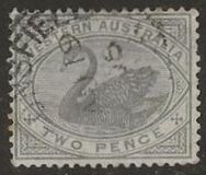 [Black Swan - New Designs, tip L]