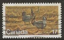 [Endangered Wildlife, Tipe ZA]