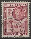 [Blackhead Sheep, type L2]