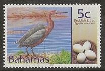 [Birds and their Eggs, type AKC]