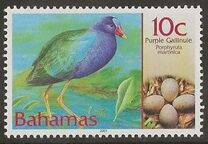 [Birds and their Eggs, type AKD]