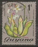 [Local Flowers, Tip DL]