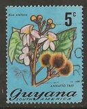 [Local Flowers, Tip DO]