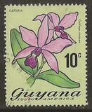 [Local Flowers, Tip DQ1]