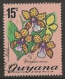 [Local Flowers, Tip DR]