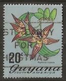 [Local Flowers, Tip DS]