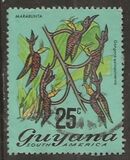 [Local Flowers, Tip DT]