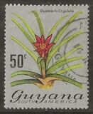 [Local Flowers, Tip DV]